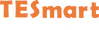 TESmart