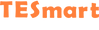TESmart